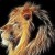 Avatar for kepler from gravatar.com
