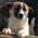 Avatar for ichenq from gravatar.com