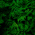 Avatar for josin from gravatar.com