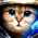 Avatar for w0rmr1d3r from gravatar.com