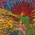 Avatar for aahil from gravatar.com