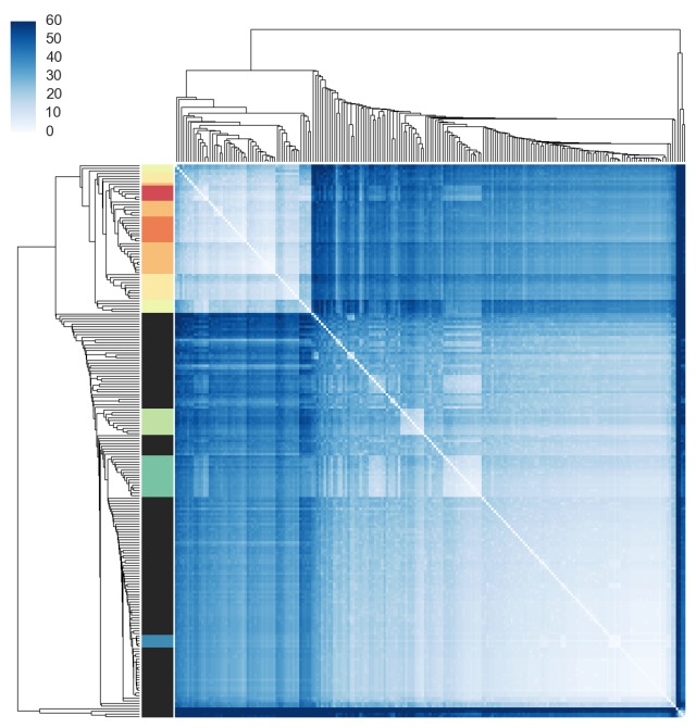 https://raw.githubusercontent.com/NBISweden/IgDiscover/main/doc/clusterplot.jpeg