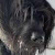 Avatar for Tom Zehle from gravatar.com