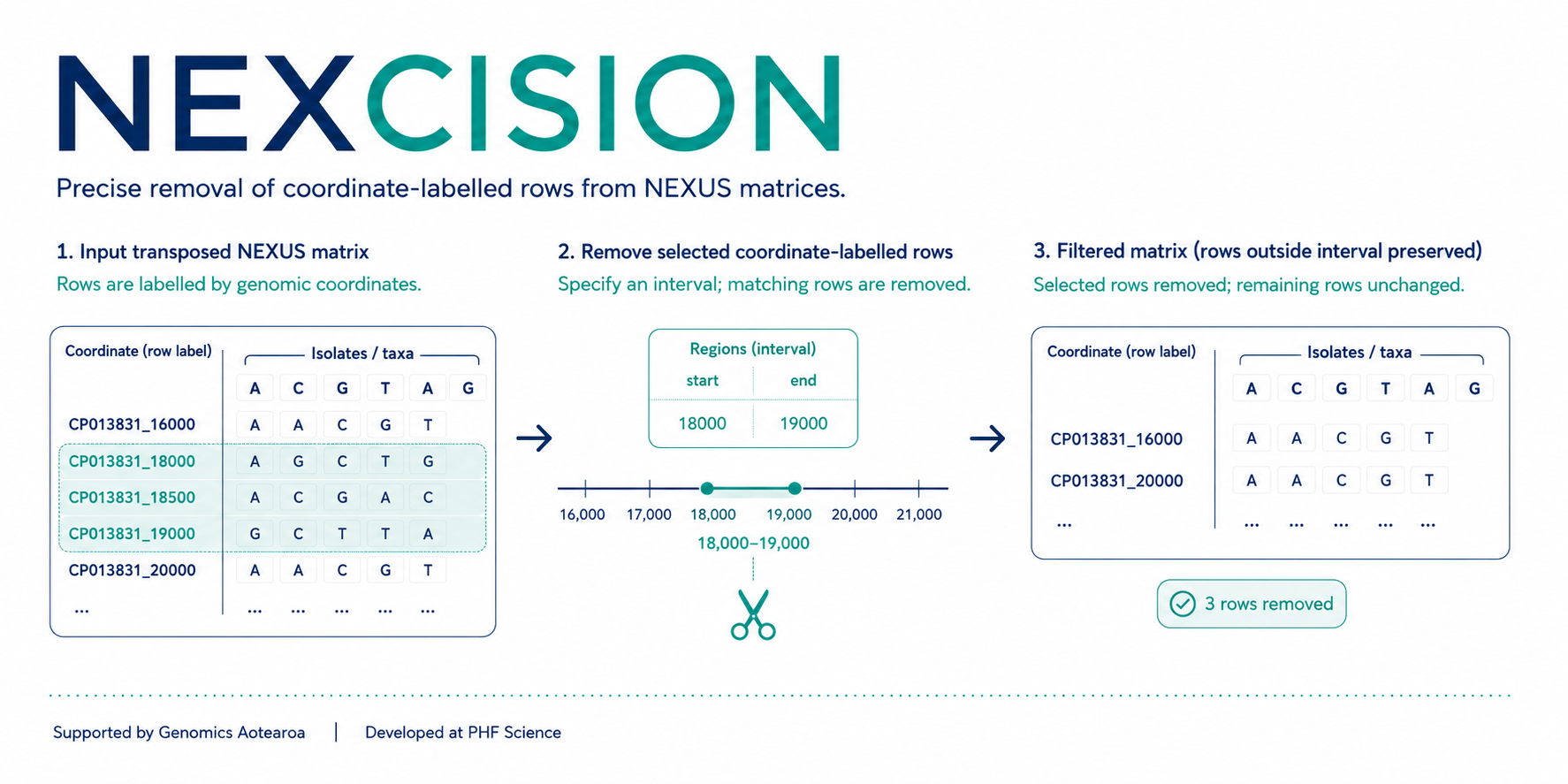 NEXCISION workflow showing coordinate-labelled matrix rows removed using user-defined genomic intervals