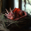 Avatar for taika-st from gravatar.com