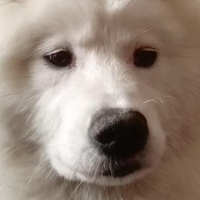 Avatar for Yukai Miao from gravatar.com