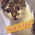 Avatar for leoweyr from gravatar.com