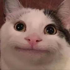 Avatar for Evgenii Neumerzhitckii from gravatar.com