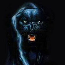 Avatar for Dr. Marcus Zeller from gravatar.com