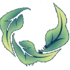 Avatar for Audrius Meskauskas from gravatar.com