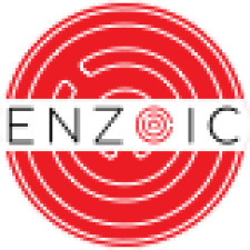 Avatar for Enzoic from gravatar.com