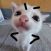 Avatar for shivkun from gravatar.com