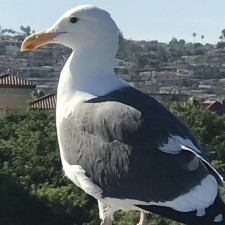 Avatar for Keita Watanabe from gravatar.com