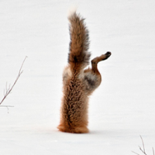 Avatar for aimmvp from gravatar.com