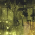 Avatar for szymon from gravatar.com