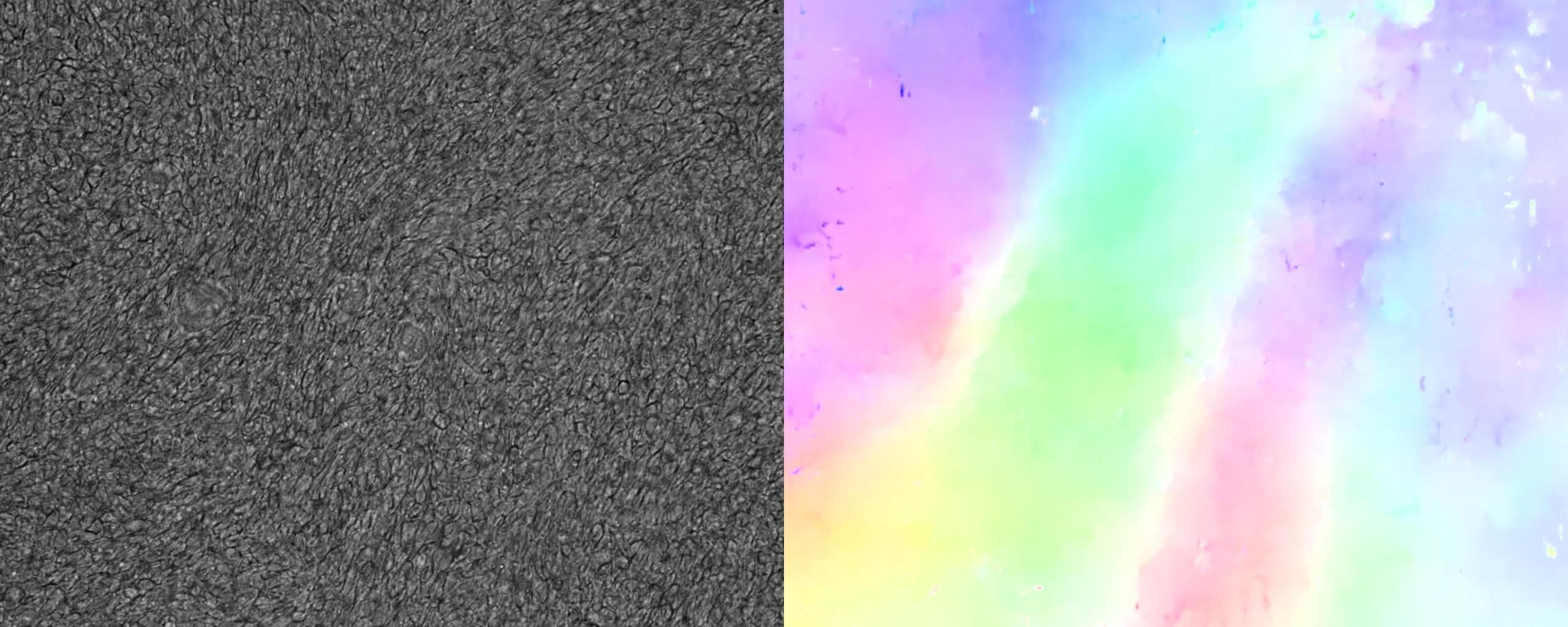centered image