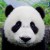 Avatar for wooln from gravatar.com