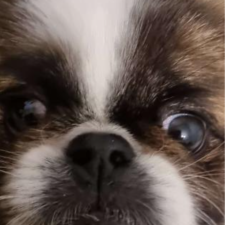 Avatar for Nite from gravatar.com