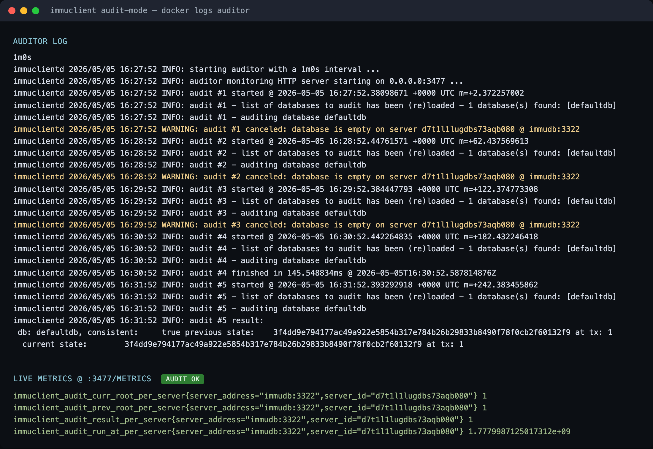immudb auditor running in audit-mode, showing successful audits and live metrics