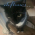 Avatar for zWolfrost from gravatar.com