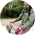 Avatar for artemp from gravatar.com