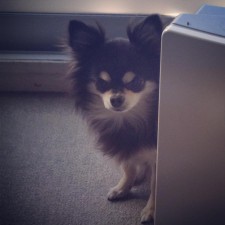 Avatar for m0cchi from gravatar.com