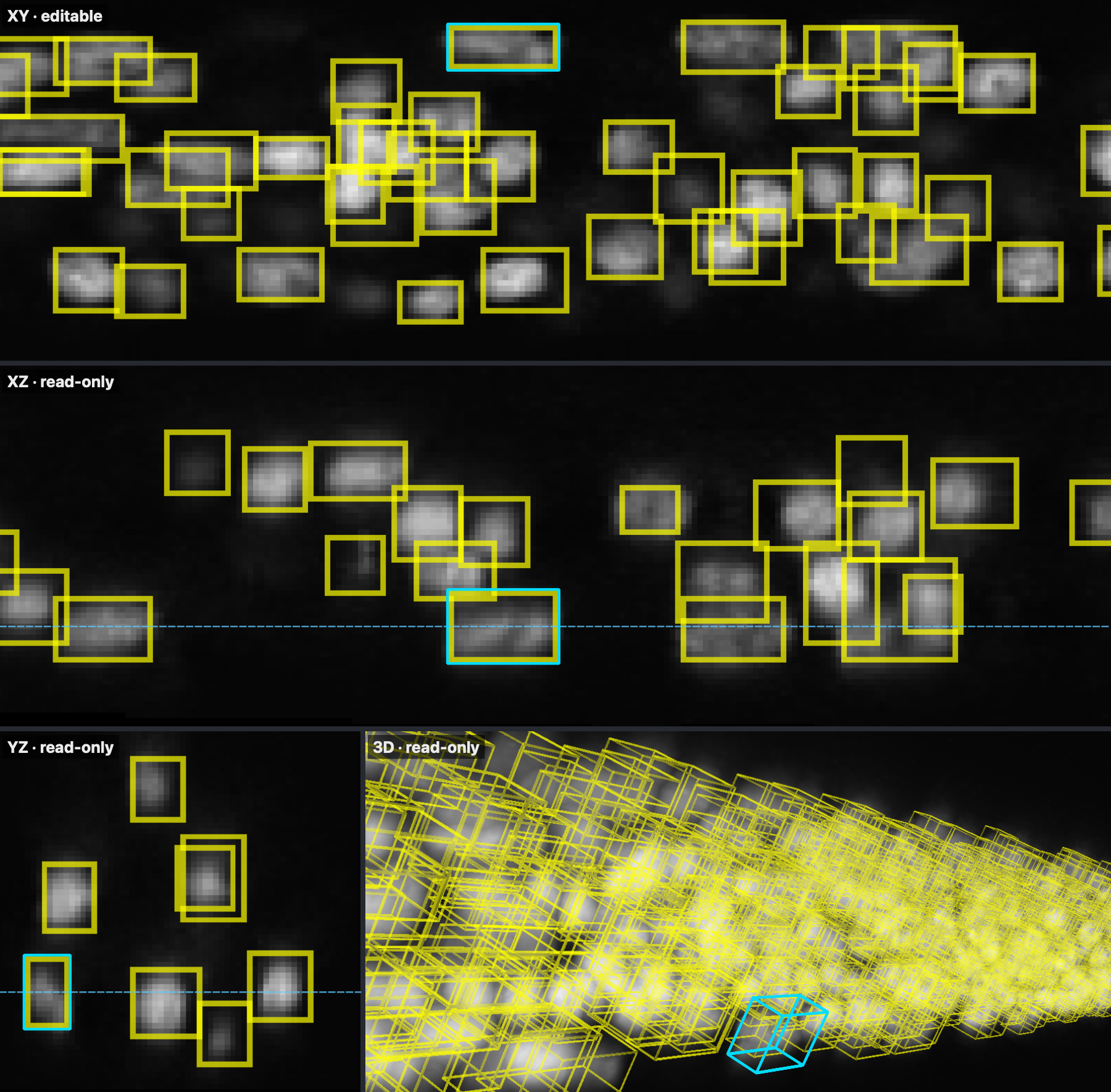 XY, XZ and YZ views of a stretch of the C. elegans larva with the boxes drawn on each view's slice, and the 3D view with every box as a wireframe.