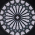 Avatar for cyanochroite from gravatar.com