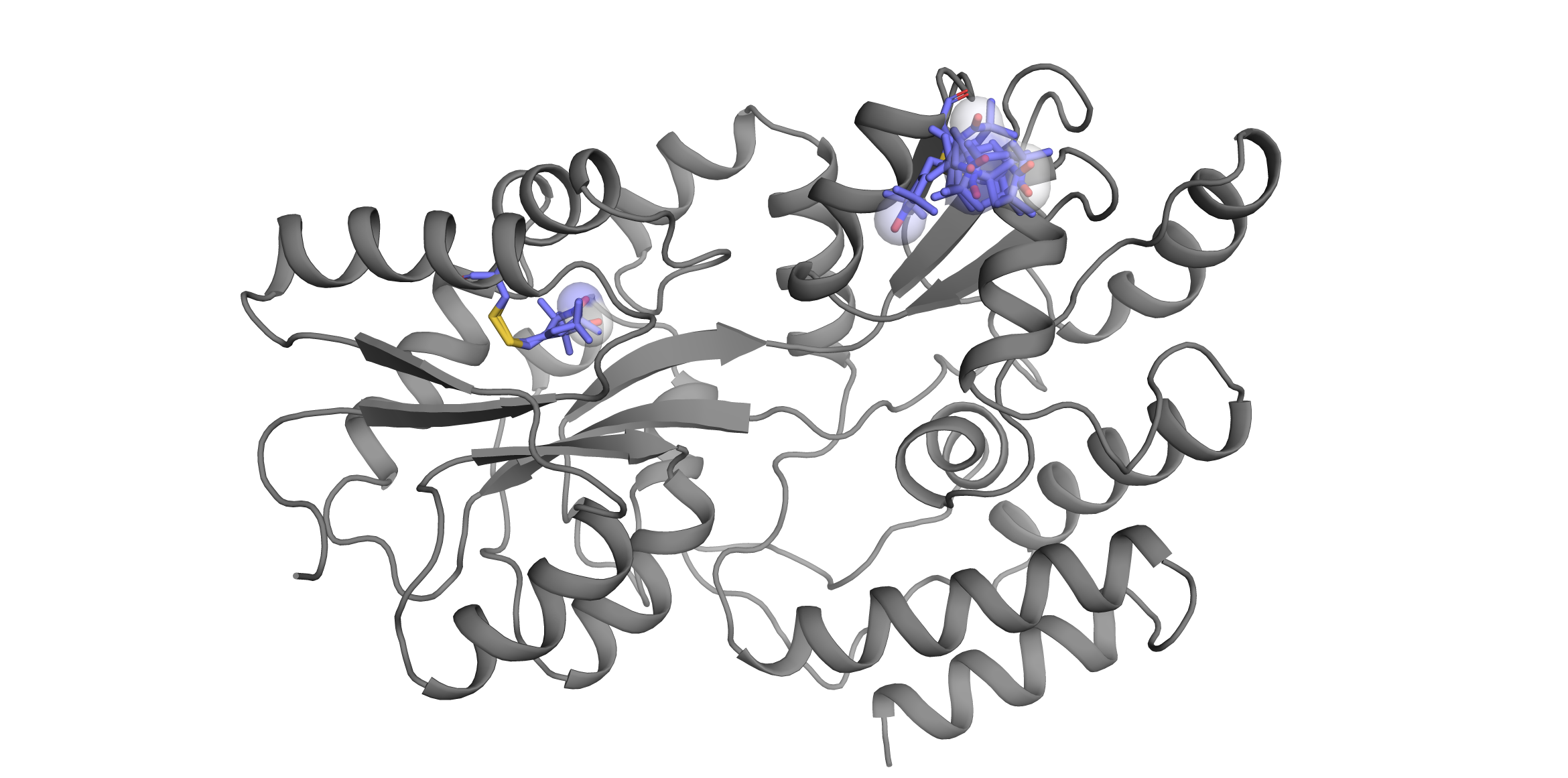 MBP L20R1 S238R1 Structure