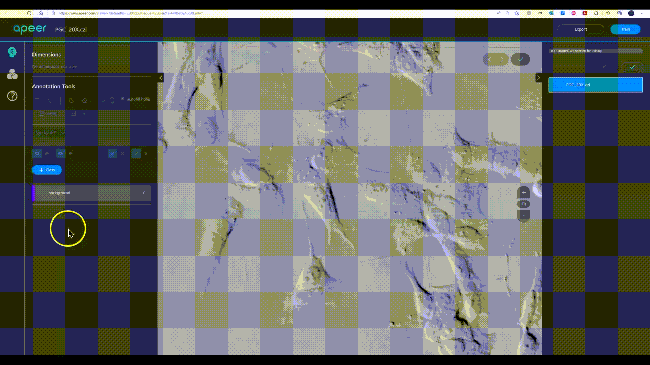 Train on APEER and use model in Napari