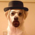 Avatar for MrPotatoBR from gravatar.com