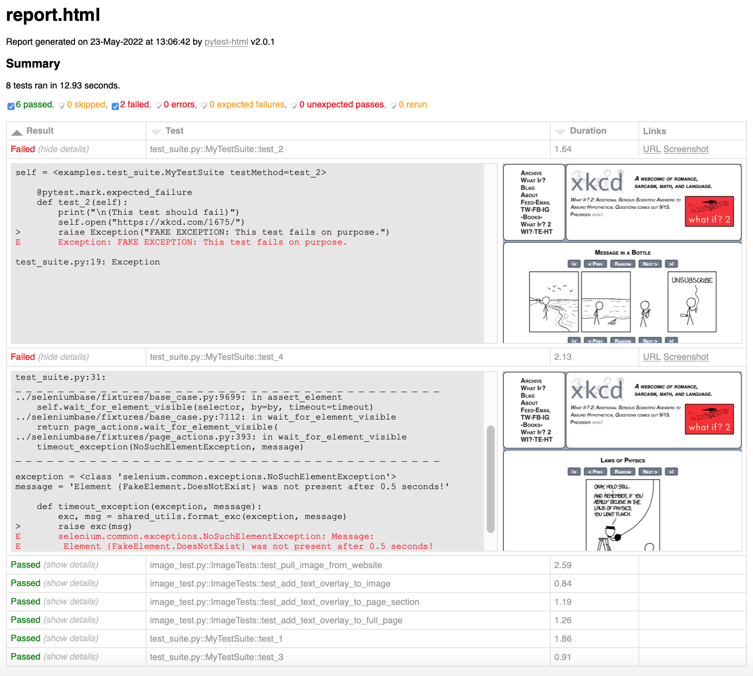 Example Pytest Report