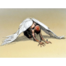 Avatar for chfly_2000 from gravatar.com