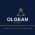 Avatar for Olgean from gravatar.com