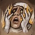 Avatar for bayandin from gravatar.com