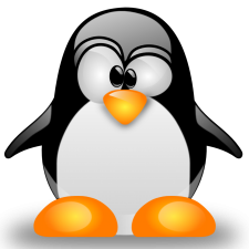 Avatar for LanikSJ from gravatar.com