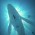 Avatar for haogooder from gravatar.com