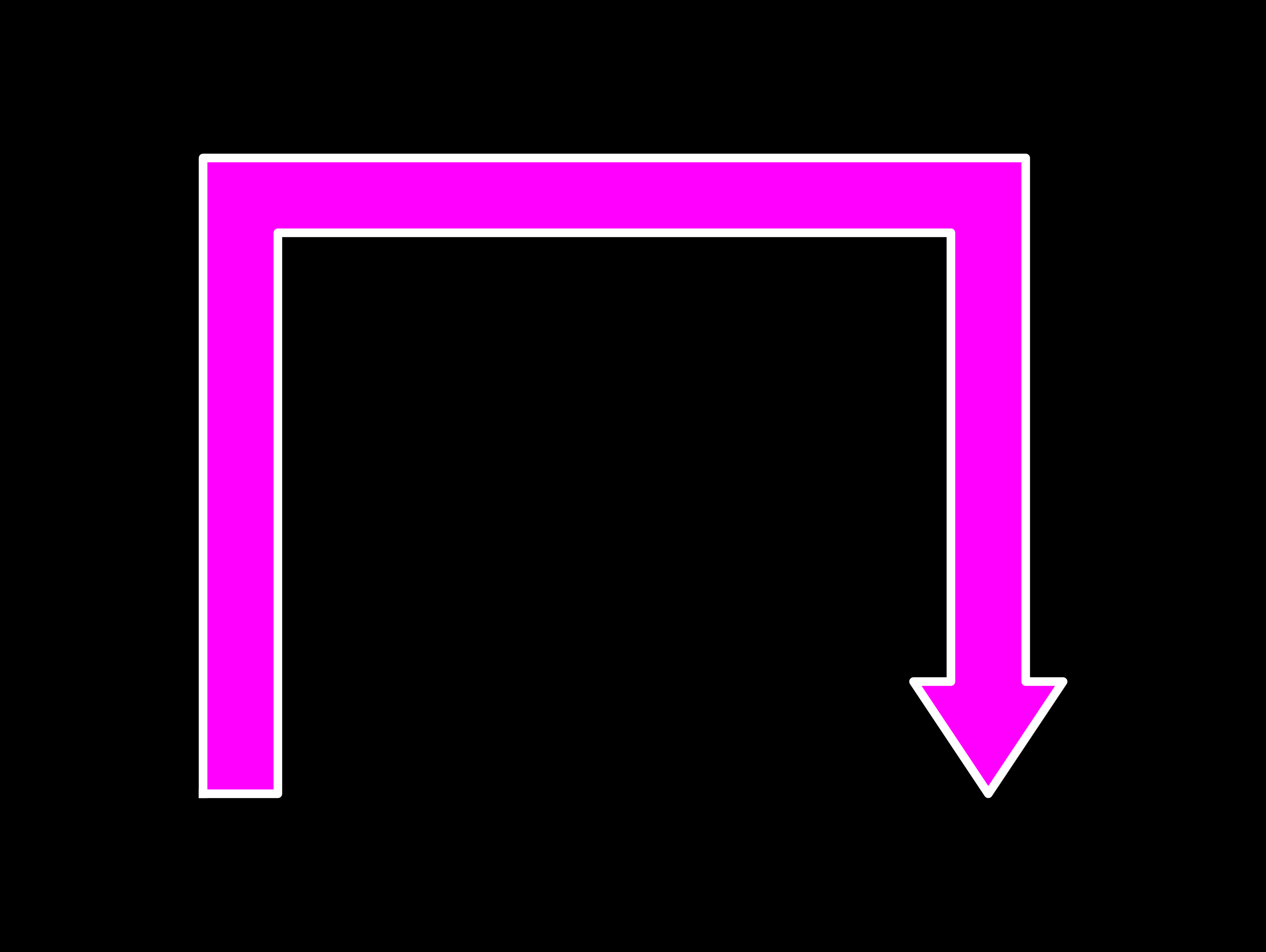 multi segment arrow with head