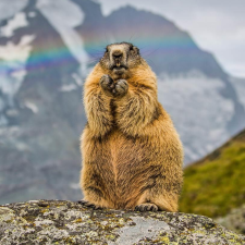 Avatar for rvipinkumar from gravatar.com