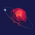 Avatar for annervisser from gravatar.com
