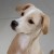 Avatar for peler from gravatar.com
