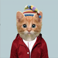 Avatar for SpoonOs from gravatar.com
