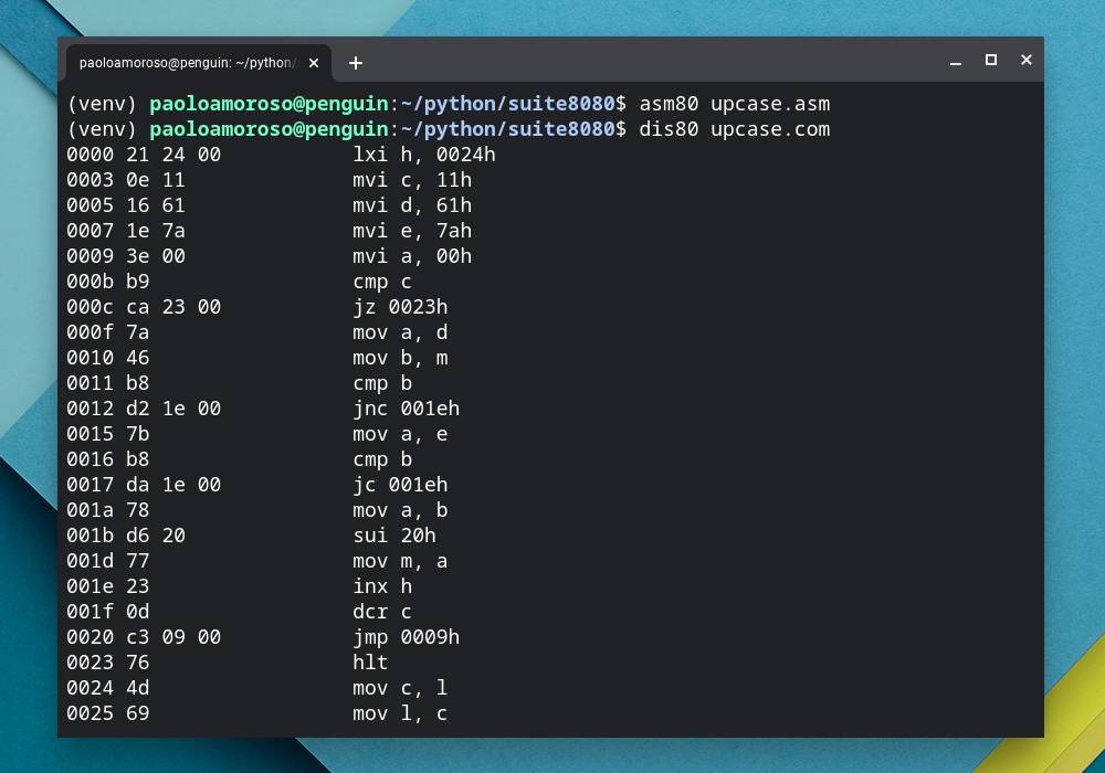 Disassembler output