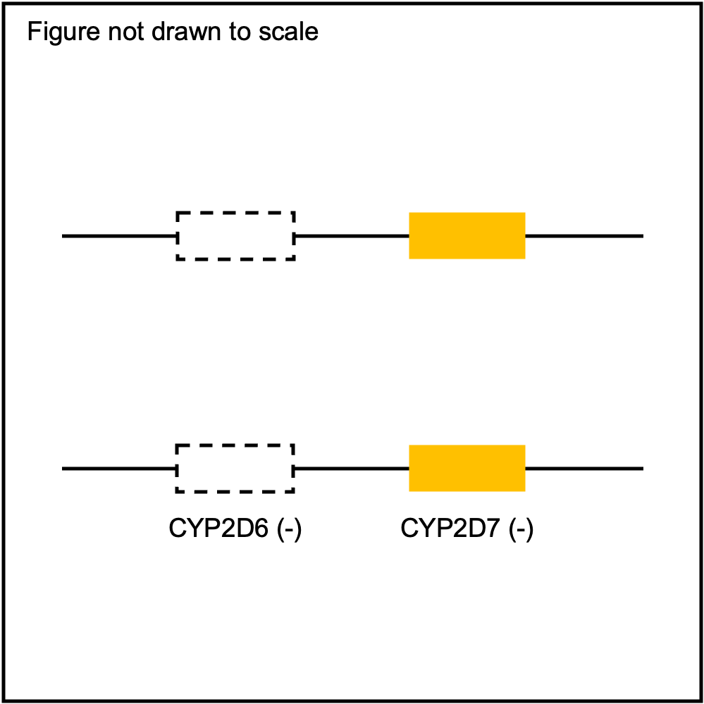 https://raw.githubusercontent.com/sbslee/pypgx-data/main/dpsv/gene-model-CYP2D6-3.png