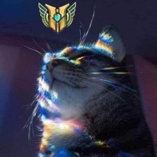 Avatar for bot-nosense from gravatar.com