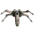 Avatar for maelstor from gravatar.com