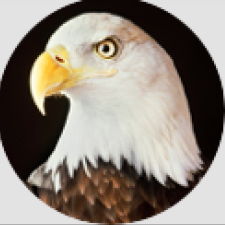 Avatar for iddober from gravatar.com