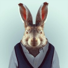 Avatar for kromar from gravatar.com