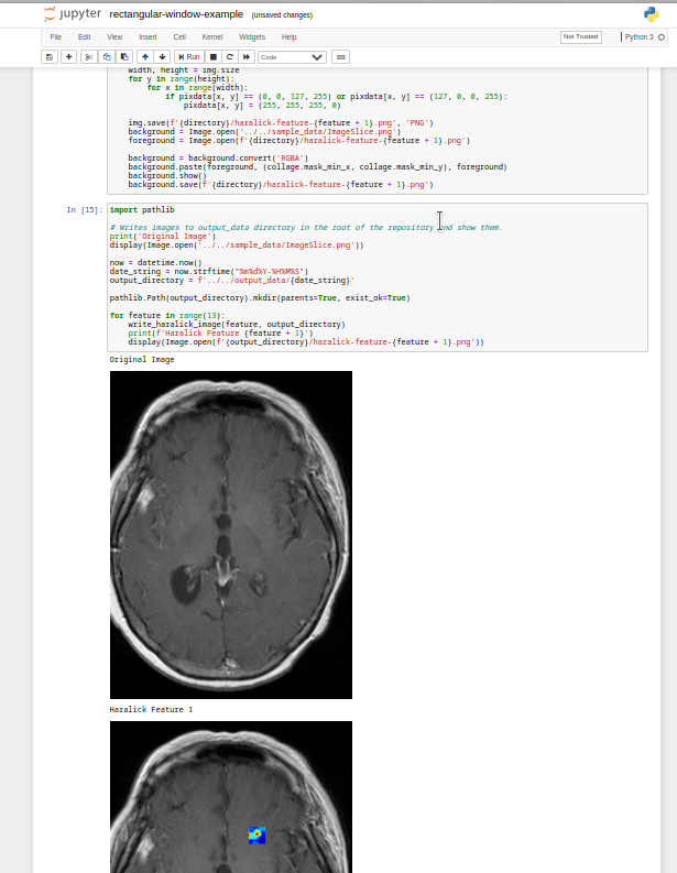 Jupyter Output