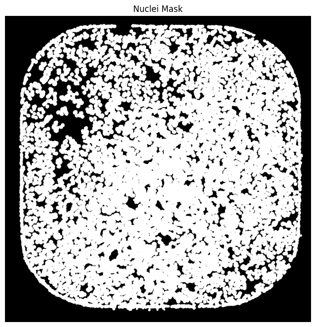 fp_nuclei_mask_w1